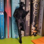 The Cowboy Reader - Vaquero lector